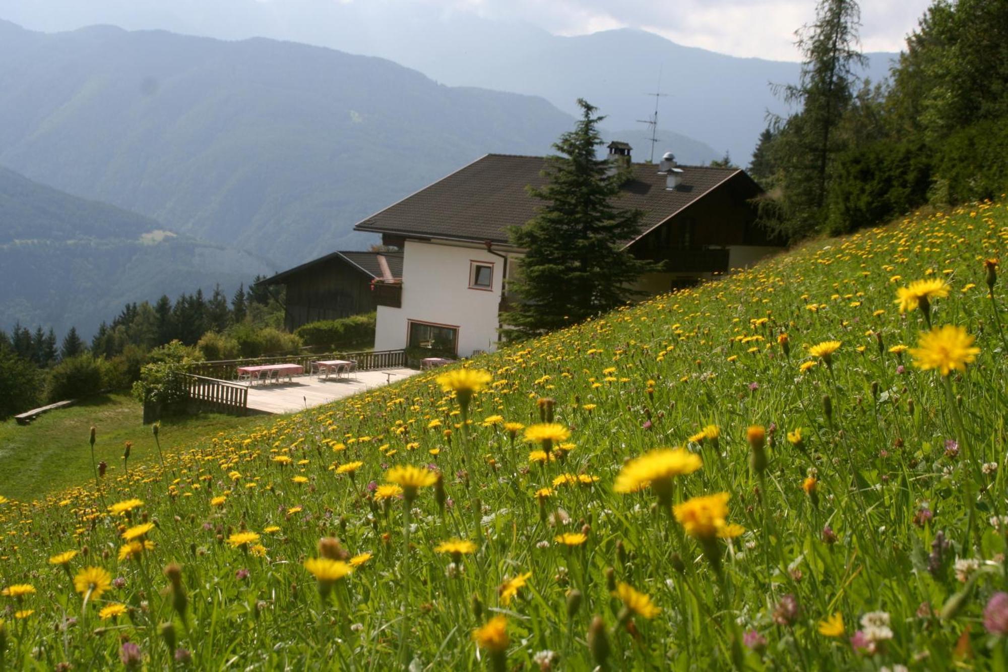 Biogasthaus Plonerhof Bressanone Exterior foto